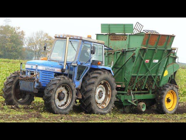 Vintage Sugarbeet Harvest 2024 | Lots of Tractors in The Field