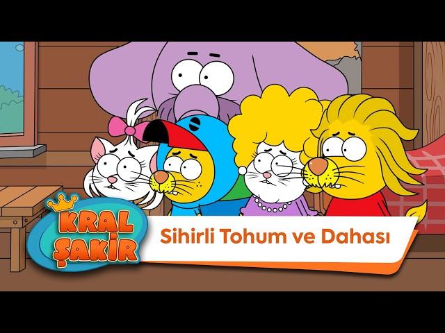 Sihirli Tohum ve Dahası - Kral Şakir