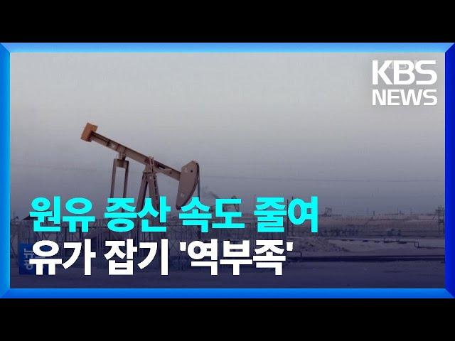 OPEC+ “다음 달 하루 10만 배럴 증산”…오히려 증산 속도 줄여 / KBS  2022.08.04.