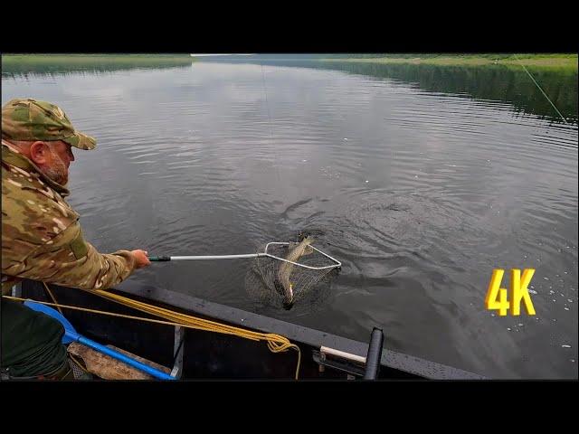 ЭТО НЕ СОН! РЫБЫ МОНСТРЫ! ТАК БЫВАЕТ ТОЛЬКО ВО СНЕ | 2 ЧАСТЬ | THIS IS NOT A DREAM! FISH MONSTERS!