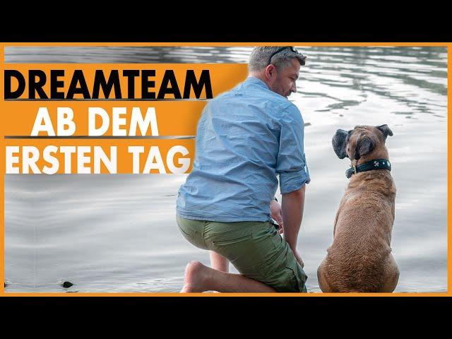 Hund zieht ein I Bindung ab dem ersten Tag richtig aufbauen I Hundeerziehung verständlich erklärt