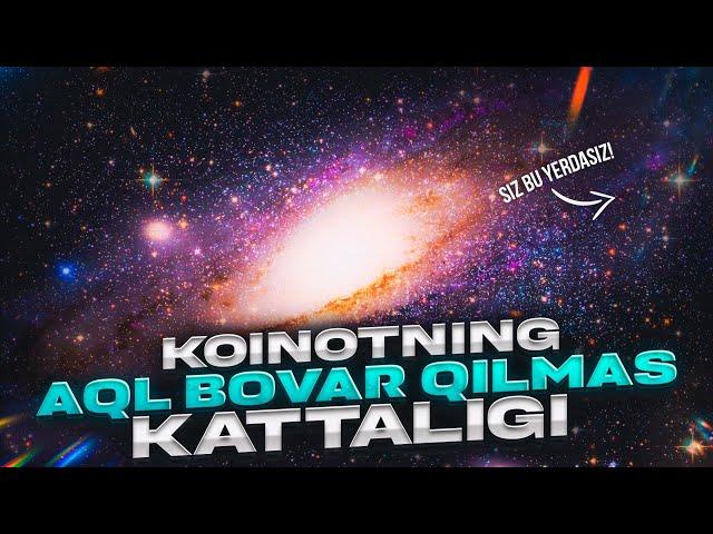 KOINOTNING AQLGA SIG'MAS KATTALIGI