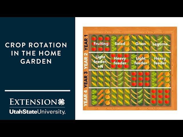 Crop Rotation in the Home Garden