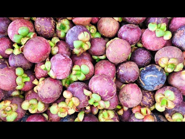 How To Open and Eat A Mangosteen. Child's Play  #shorts