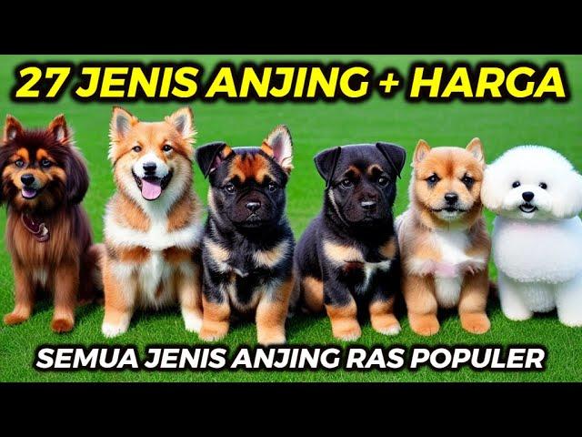 27 DIFFERENT TYPES OF DOGS - ALL DOG BREEDS