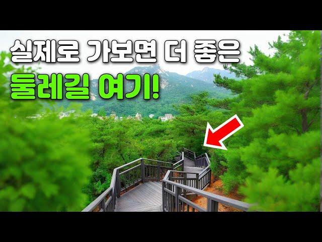  혼자 걷기 좋아요! 수려한 경치와 숨은 명소 가득한 7km 트레킹 코스ㅣ대중교통 당일치기 여행
