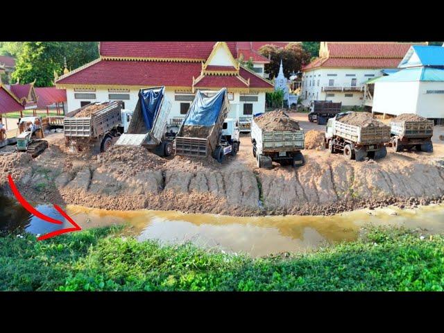 Amazing Dump-Truck Overloading PROJECT!! Delete Water On High Ground by Dozer Pushing Soils