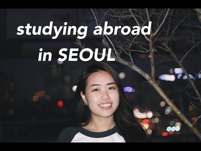 [KOREA STUDY ABROAD VLOG] Flying from NY, Corgi cafe, streetfood, Bukchon Hanok Village!