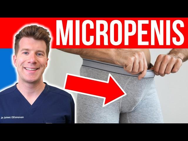 Doctor explains MICROPENIS | Definition, causes, size and treatment