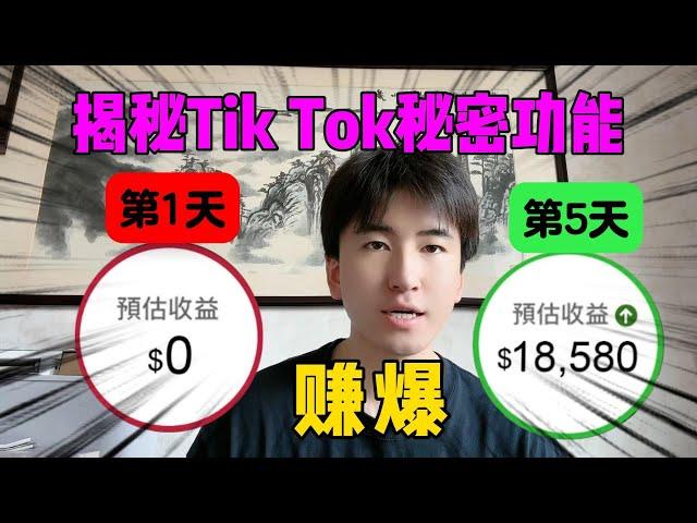 【保姆级实操】亲测有效！揭秘tiktok秘密赚钱功能，新手创作从0到1 8W，仅需5天？每天靠一台电脑养活自己，不内卷不躺平！#tiktok #tiktok赚钱 #副业 #兼职 #短视频 #内卷