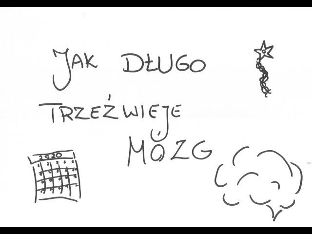 Jak długo trzeźwieje mózg