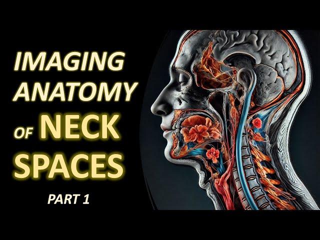 Imaging Anatomy of Neck Spaces (part 1)