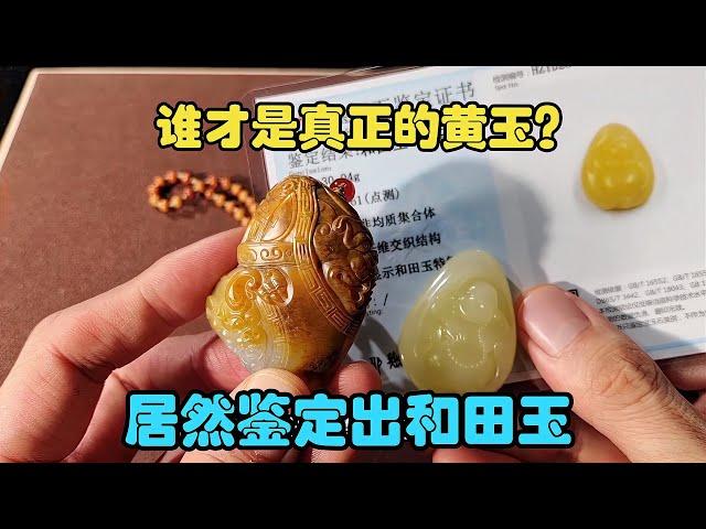 和田黄玉要注意的坑！同行质疑老纪的说法，鉴定证书一目了然