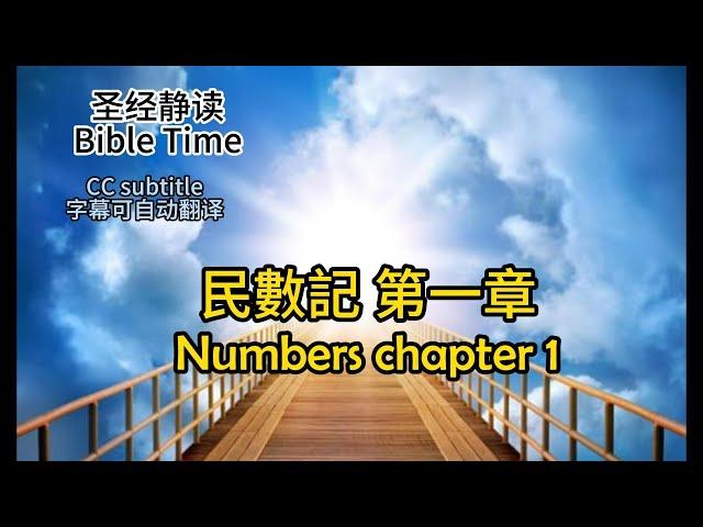 静读【圣经 Bible】[民數記 Numbers 1 ] Read the Bible. Chinese/cc subtitles. 聖經.字幕自动翻译同步