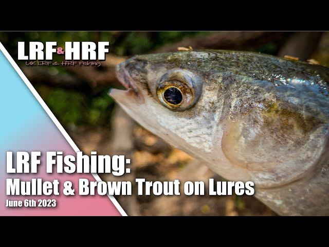 LRF Fishing: Mullet on Mepps & Brown Trout on Lures
