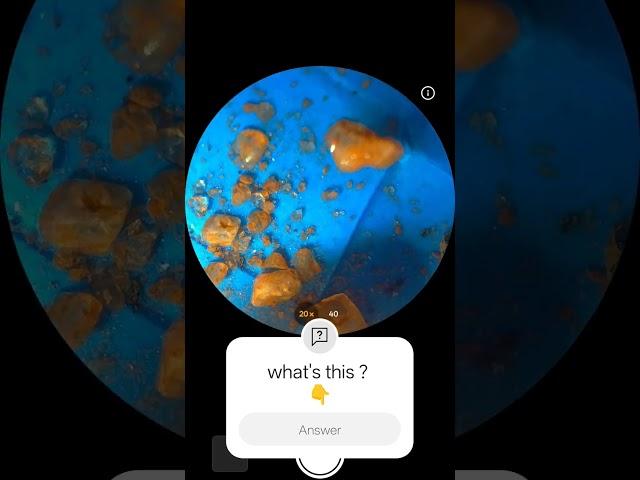 #nature   ZOOMX-SCOPE-XO channel subscribe & like & share#
