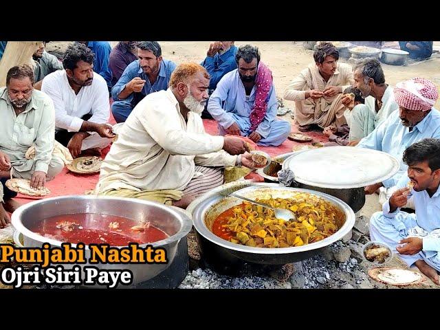 100/-Rs Only Ojri + 3 Roti Hafeez Bhai Ojri Siri Paye & Beef Pakistan Street Food | Punjabi Nashta