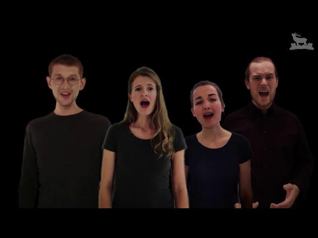 Wake me up - Avicii || baff! - A CAPPELLA COVER