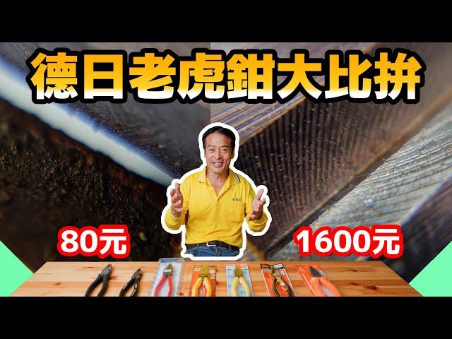 貴的老虎鉗真的比較好？1800元對決80元老虎鉗品質居然差這麼多！【水電爸爸】