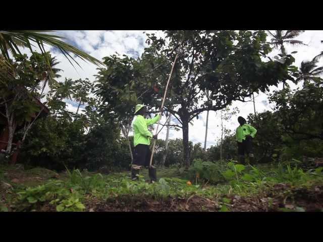 How Chocolate is Made by James Karinejad