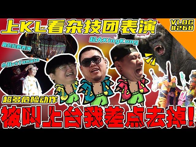 三十年没看杂技团！超大KingKong！还被叫上台我差一点去掉！【VLOG】#268