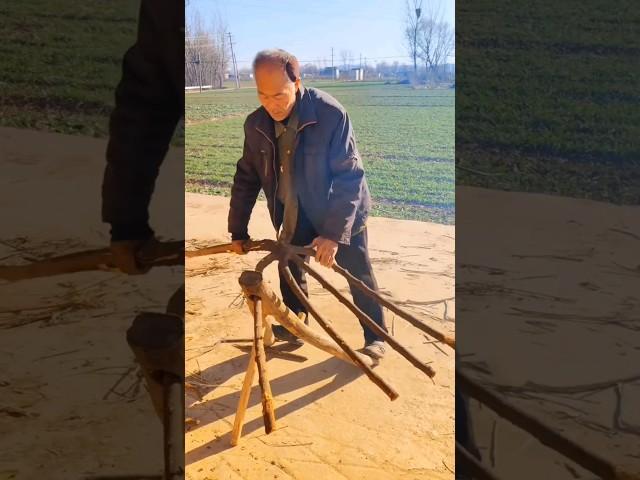 What An Interesting Agriculture Tool #satisfying #woodworking #plants