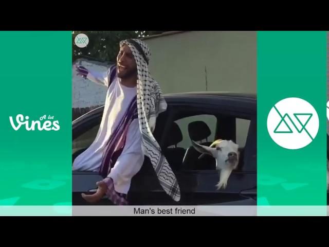 King Bach Vines VS Anwar Jibawi Vines  Who Is The Winner!