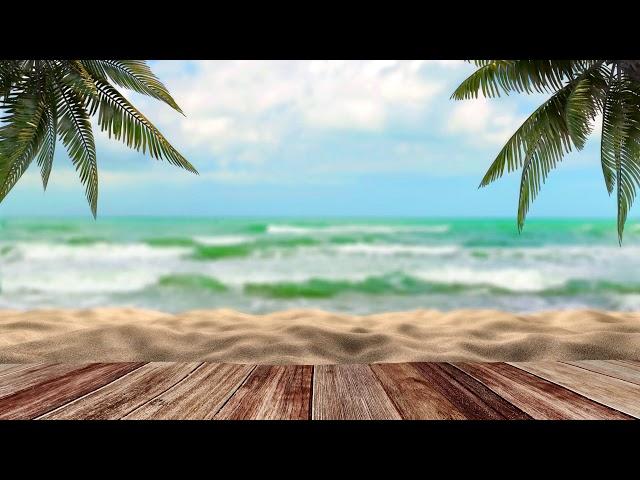 Tropical Video Background - No Ads