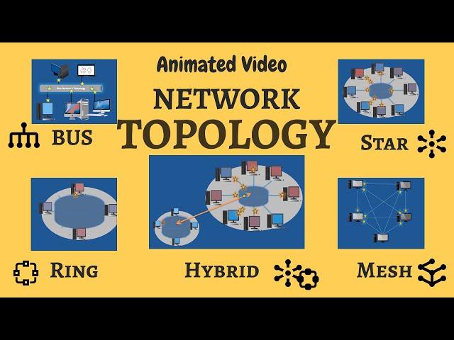 Computer Network Topology Animation Videos (Star, Bus, Ring, Mesh, Hybrid Topologies)