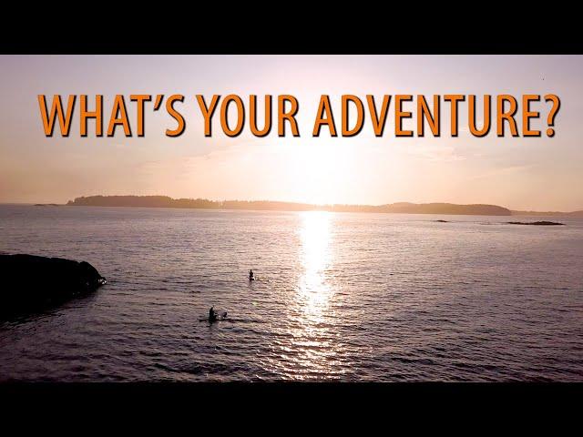 What's Your Adventure