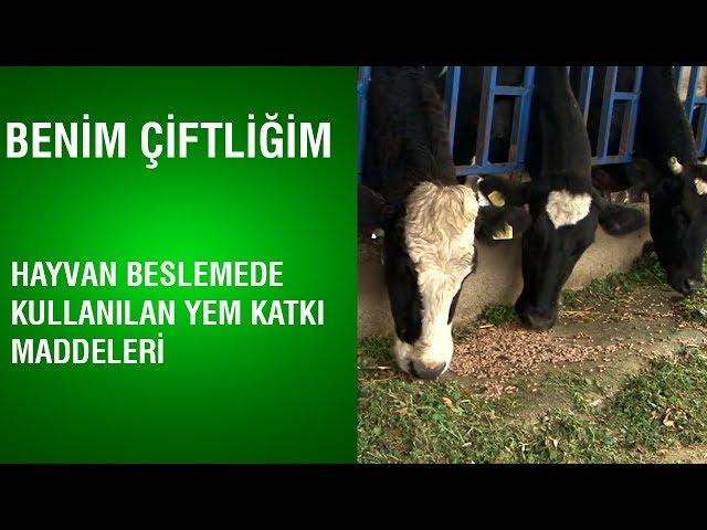 Benim Çiftliğim -  Hayvan Beslemede Kullanılan Yem Katkı Maddeleri