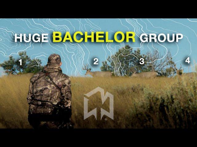 Check out this old footage from 2011! ( Big bachelor group of bucks came just out of range )