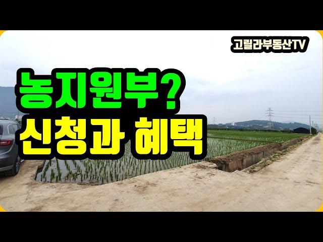 농지원부 신청과 혜택. 가능하면 빨리 만드세요. 【고릴라부동산TV】