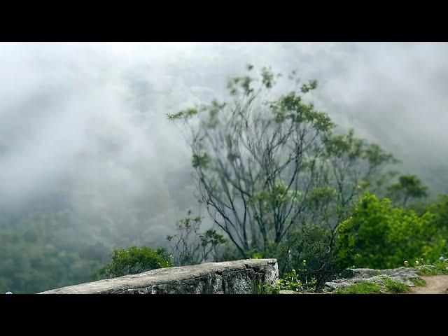 JIRI JIRI BWHWI LANGYW (official jiri jiri bodo song) new bodo song 2024 @MusicProduction-u9w  #jiri