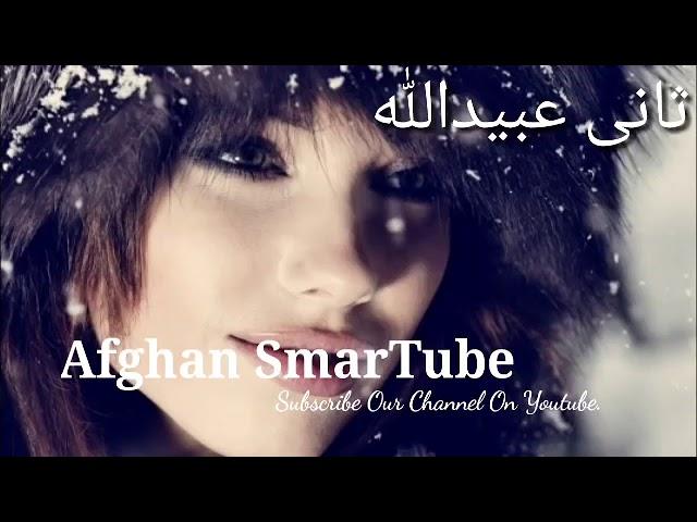 Mast Pashto Song sani ubaidullah jan