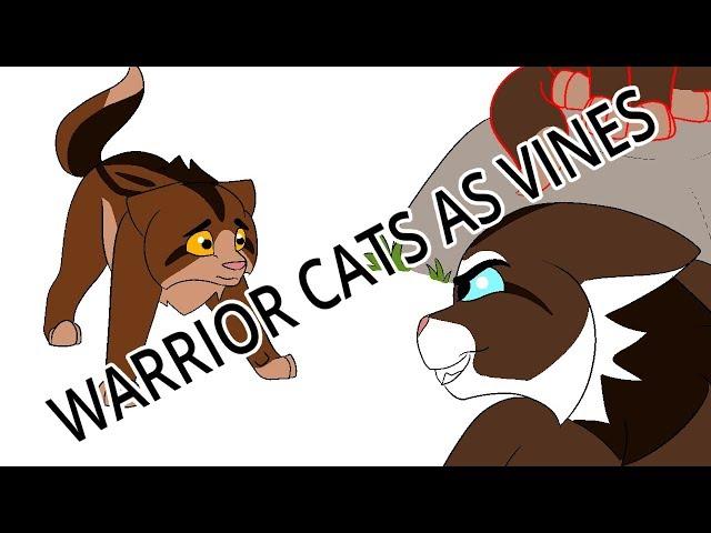 Warrior cats as vines