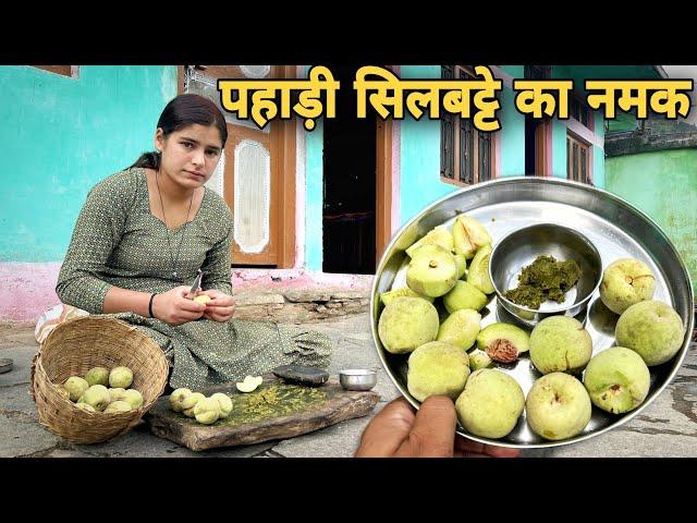 पहाड़ी स्वादिष्ट सिलबट्टे का नमक | आडू और नमक | villagers lifestyle in uttarakhand | RTK Vlogs