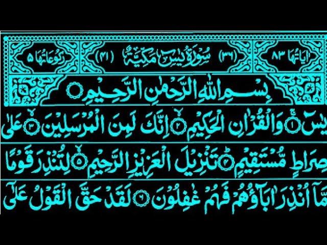 Surah Yaseen || Surah Ar Rahman || Quran Tilawat Surah Yasin || Surah Mulk Quran Recitation ||