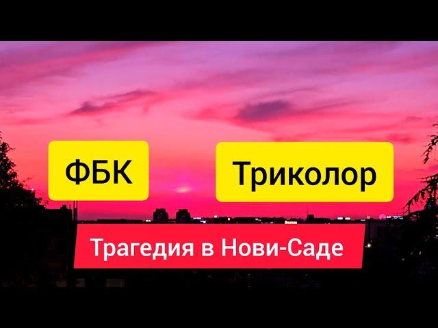 Трагедия в Сербии, Андрей Гнет, ФБК, Митинг в Белграде