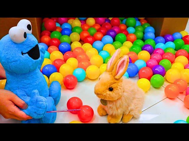 Cookie Monster's First Pet Bunny | Sesame Street Compilation Fun Learning Video For kids