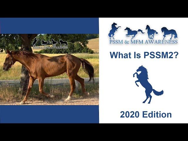 What Is PSSM2?- 2020 Edition