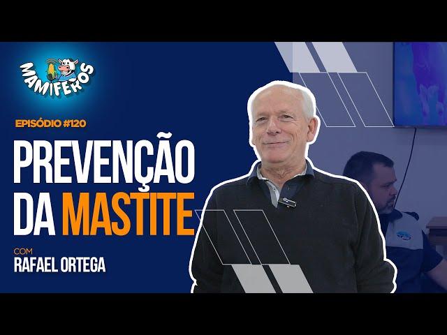 Prevenção de mastite, tecnologia e vacinação para melhorar a produção de leite