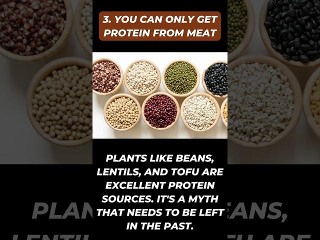 Protein Myths Debunked: What You Need to Know #ProteinFacts