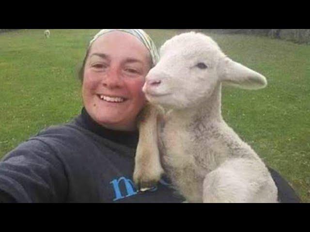 Love of Animals Moments That Will Improve Your Bad Mood! ️