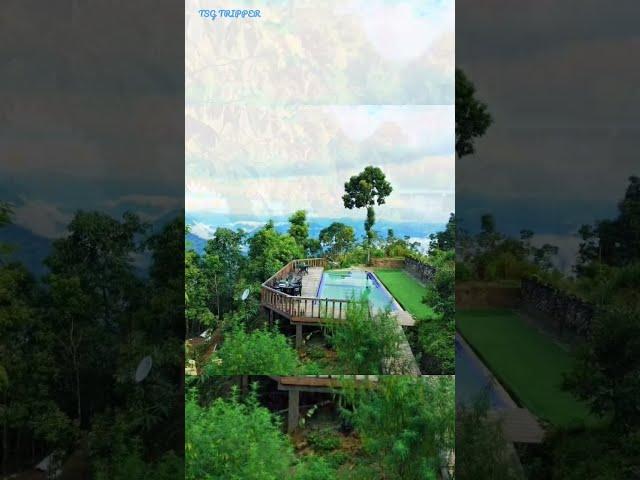 Lamahatta Resort View  #shorts #lamahatta #darjeeling #tsgtripperbong #reels