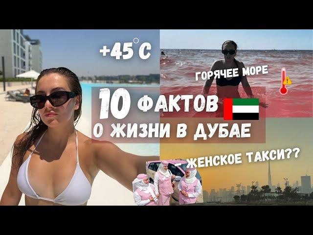 10 ФАКТОВ О ЖИЗНИ В ДУБАЕ спустя месяц