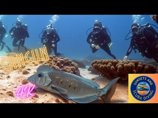 Exploring MEXICO'S Hidden Gem: Manchones Reef Scuba Adventure!