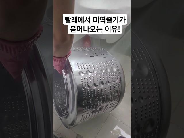 드럼세탁기청소 12년만에 처음하시네요 #세탁기청소 #cleaning