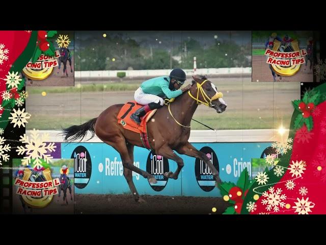 Caymanas Park Race Day Tips | Saturday December 28, 2024