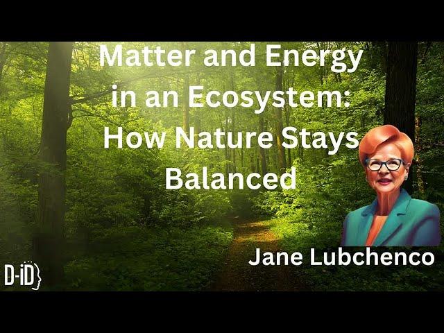 Matter and Energy in an Ecosystem  How Nature Stays Balanced